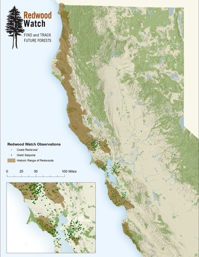 Redwood-Watch-map